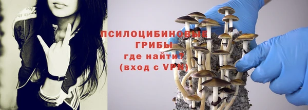 прущие грибы Арсеньев