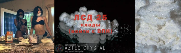 прущие грибы Арсеньев