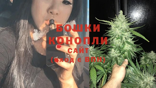 прущие грибы Арсеньев