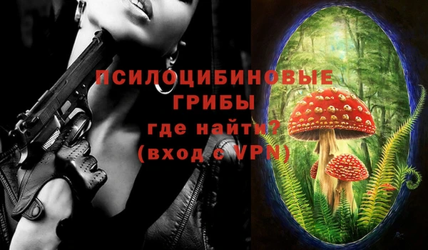 крисы Аркадак