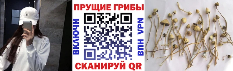 Галлюциногенные грибы Magic Shrooms  маркетплейс состав  Прохладный  гидра зеркало 